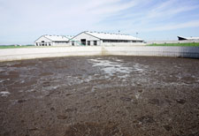 toxic pollutants in cafo waste lagoons