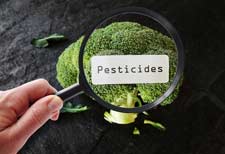 can you taste pesticides in your food