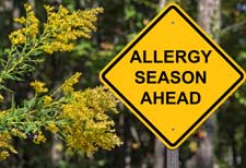 how to treat spring allergies