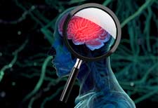 traumatic brain injury linked to parkinsons disease
