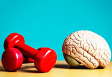 link between muscles brain