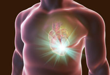 probiotics may lower heart attack stroke risks