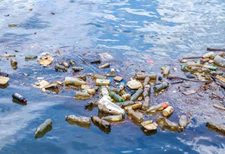 10 rivers contribute 95 percent plastic oceans