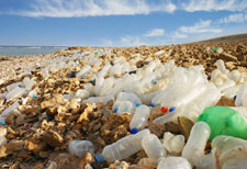 beat plastic pollution