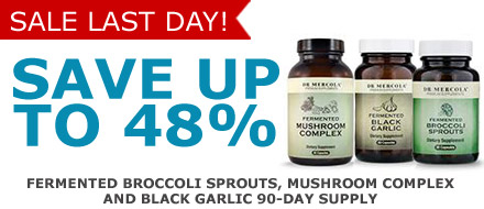 Fermented Broccoli Sprouts, Mushroom Complex and Black Garlic 90 Day Supply