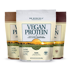 Create Your Own Vegan Protein 3 Pack