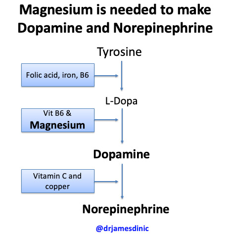 magnésium pour la dopamine et la noradrénaline 
