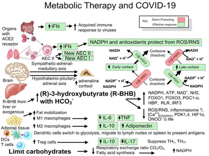 metabolic therapy covid-19