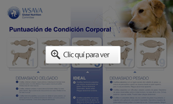 tabla de puntaje de condición corporal de perros