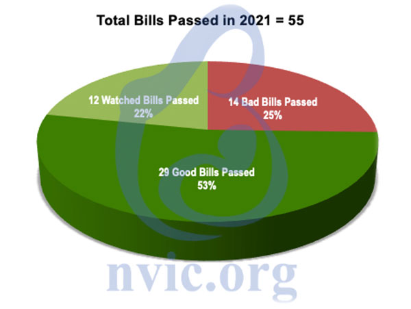 total bills passed in 2021