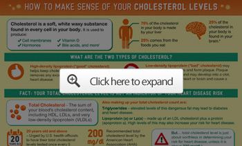Cholesterol Levels Infographic
