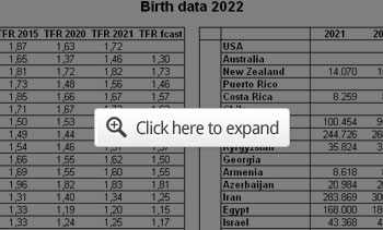 birth data 2022