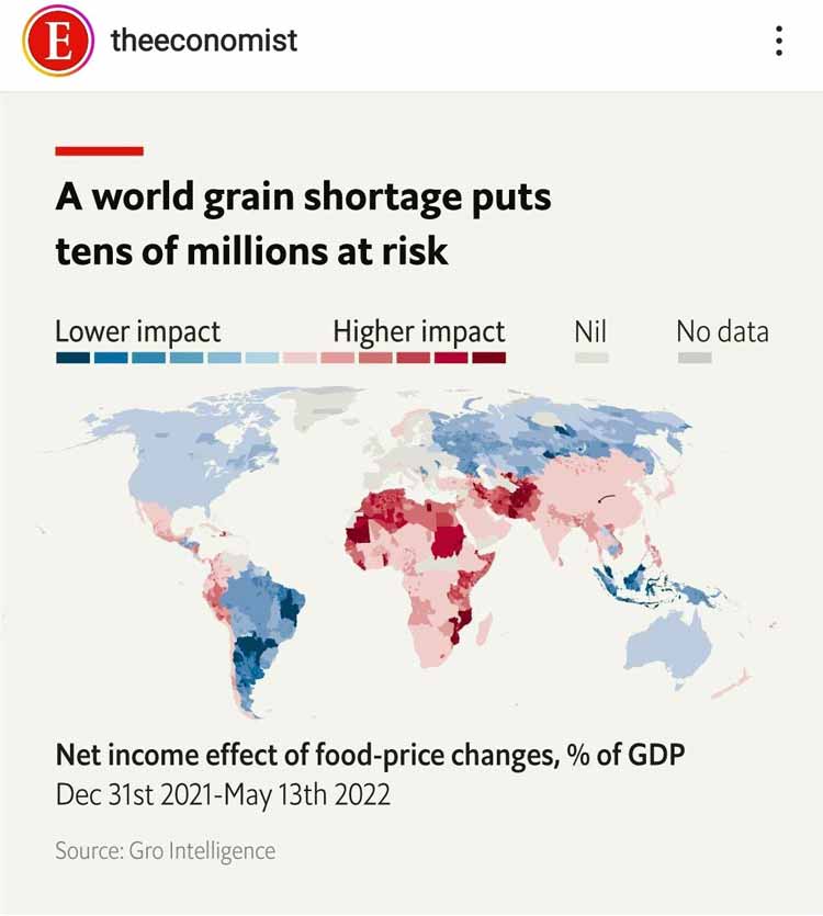 światowy niedobór zbóż