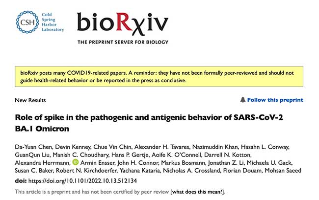 role of spike in the pathogenic and antigenic behavior of omicron