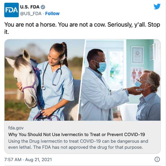 FDA Thrilled Over Viral Horse Paste Tweet