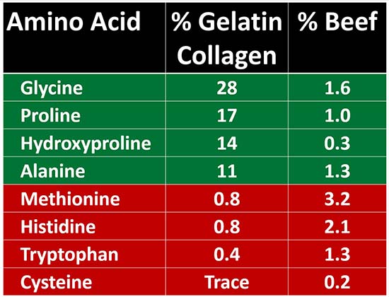 amino acid ratios of gelatin and collagen versus red meat
