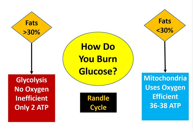 how do you burn glucose
