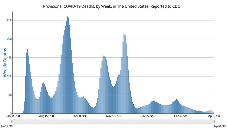 provisional covid-19 deaths by week
