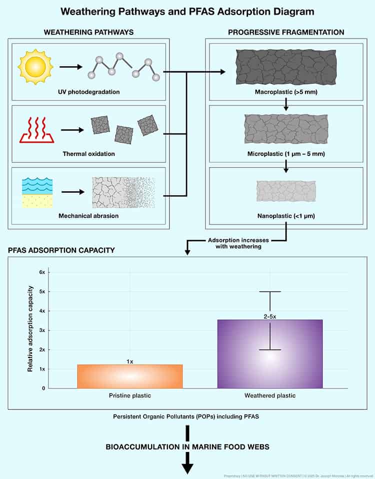 weathering pathways and pfas adsorption