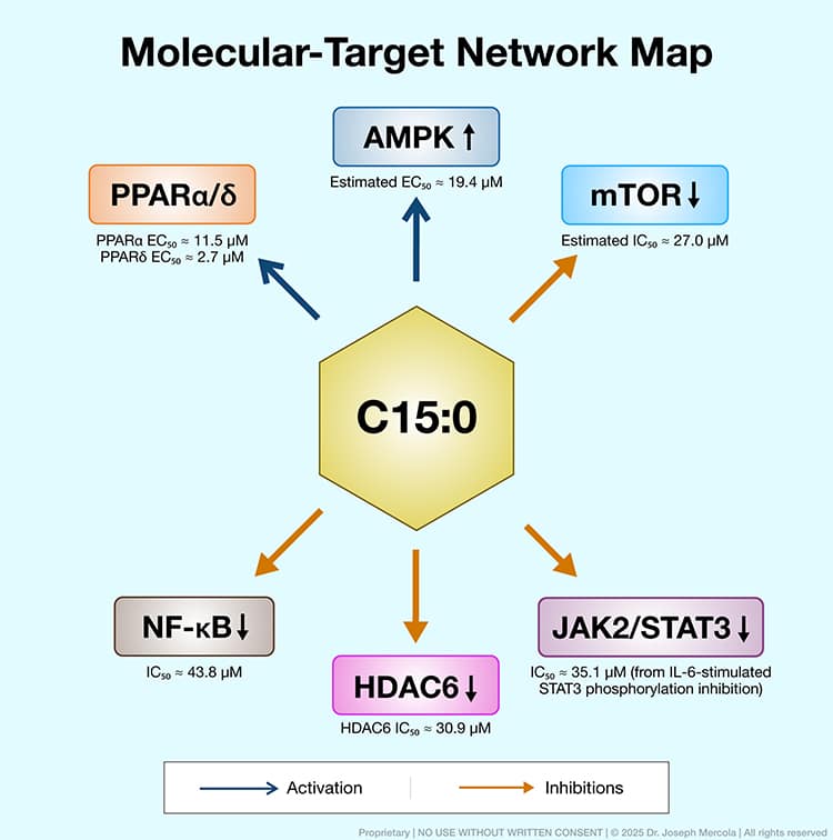 molecular target network map