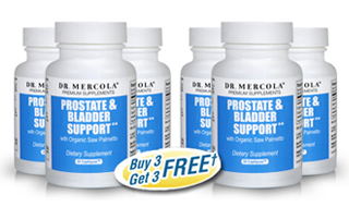 Prostate and Bladder Support