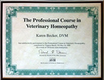 Veterinary Homeopathy - Dr. Karen Becker