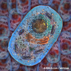 mitocondriile defecte