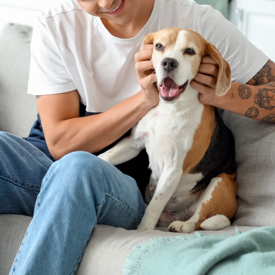 Pet owner holding a dog sitting on a couch