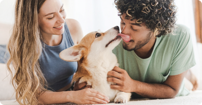 pet owners holding corgi dog