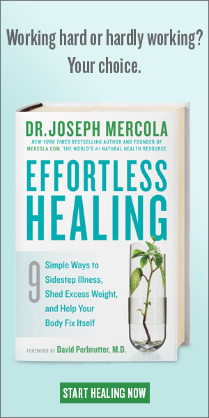 Effortless Healing Book Cover Image