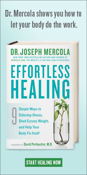 Effortless Healing Book