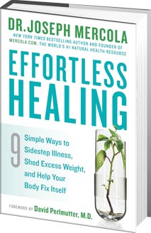 Effortless Healing 3D Bookshot