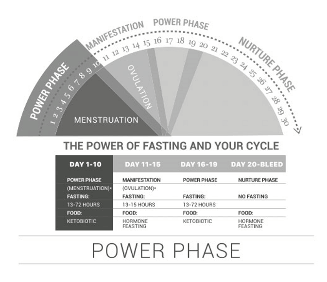 fasting and menstrual cycle visual 2