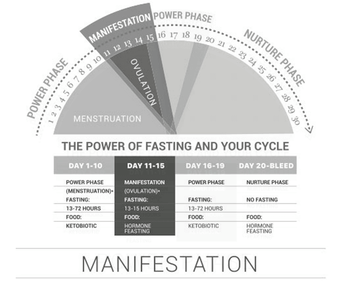 fasting and menstrual cycle visual 4