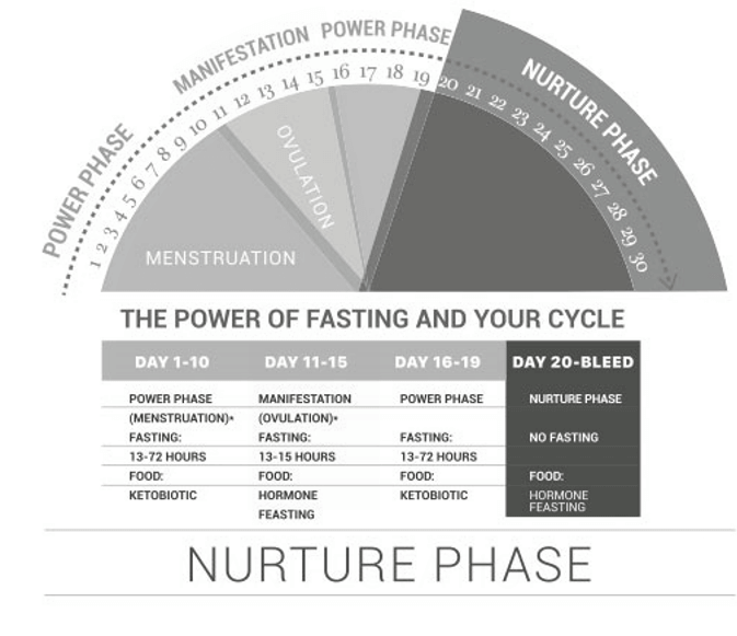 fasting and menstrual cycle visual 5