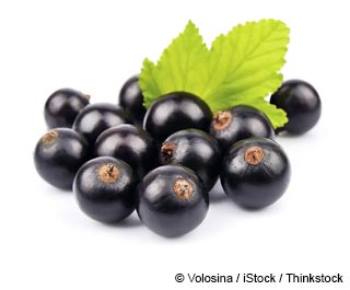 Black Currants Nutrition Facts