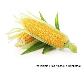the good corn