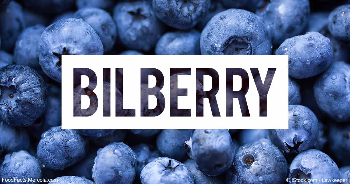 What Is Bilberry Good For?