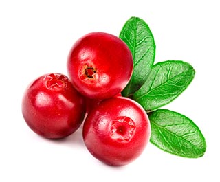 Lingonberry Nutrition Facts