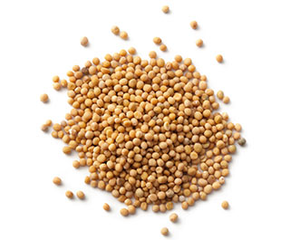 Mustard Seed Nutrition Facts