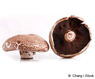 Portobello Mushrooms Nutrition Facts