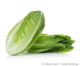 Romaine Lettuce Nutrition Facts