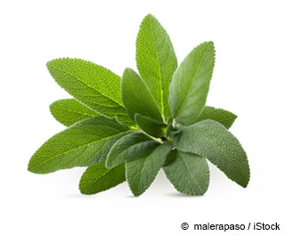 What Is Sage Used For? Sage-nutrition-facts