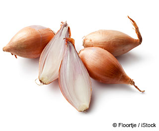 Shallot Nutrition Facts