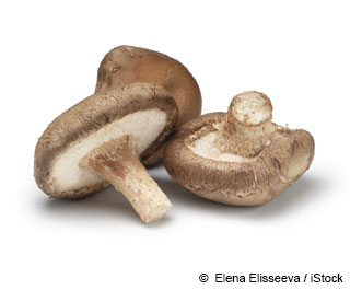 Shiitake Mushroom Nutrition Facts