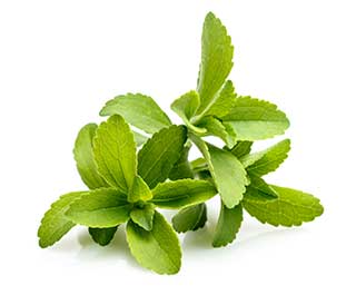 Stevia Nutrition Facts