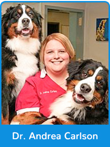 Dr. Andrea Carlson- Veterinarian