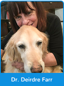 Dr. Deirdre Farr – Veterinarian