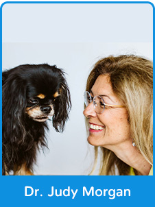 Dr. Judy Morgan - Veterinarian