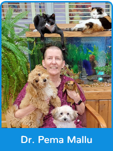 Dr. Pema Mallu- Vet